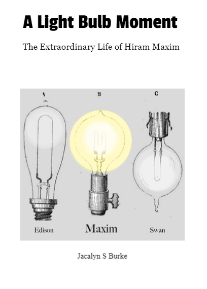 a book cover showing three lightbulbs and the title "a light bulb moment"